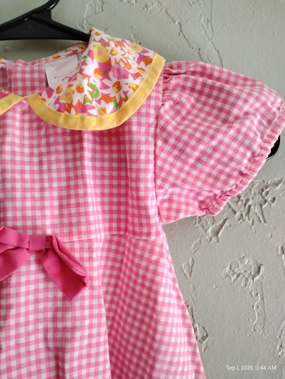 Allison Ann Pink Gingham Girls' Dress 2T